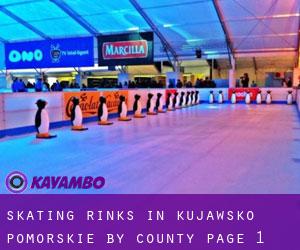 Skating Rinks in Kujawsko-Pomorskie by County - page 1