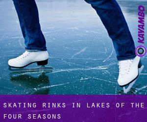 Skating Rinks in Lakes of the Four Seasons