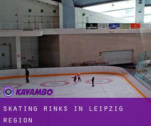 Skating Rinks in Leipzig Region