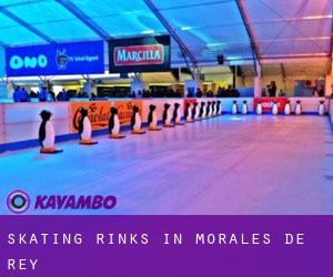 Skating Rinks in Morales de Rey