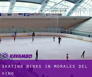 Skating Rinks in Morales del Vino