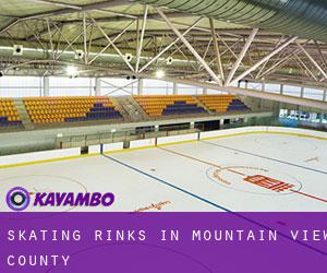 Skating Rinks in Mountain View County