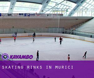 Skating Rinks in Murici Skating Rinks in Murici