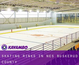Skating Rinks in Nes (Buskerud county)