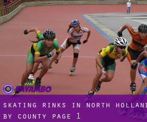 Skating Rinks in North Holland by County - page 1