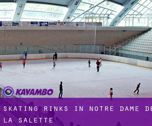 Skating Rinks in Notre-Dame-de-la-Salette