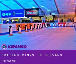 Skating Rinks in Olevano Romano