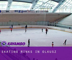 Skating Rinks in Olkusz