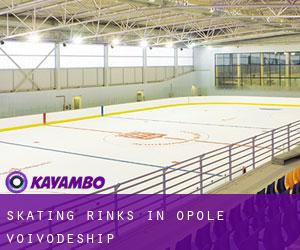 Skating Rinks in Opole Voivodeship