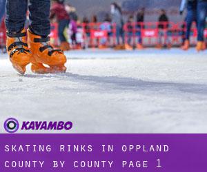 Skating Rinks in Oppland county by County - page 1