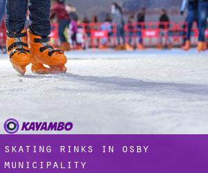Skating Rinks in Osby Municipality