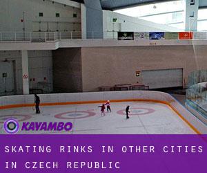 Skating Rinks in Other Cities in Czech Republic Skating Rinks in Other Cities in Czech Republic