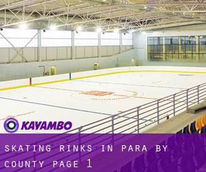 Skating Rinks in Pará by County - page 1