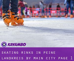 Skating Rinks in Peine Landkreis by main city - page 1