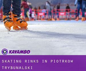 Skating Rinks in Piotrków Trybunalski