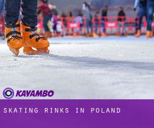 Skating Rinks in Poland Skating Rinks in Poland