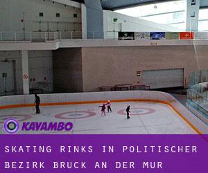 Skating Rinks in Politischer Bezirk Bruck an der Mur