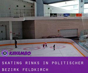 Skating Rinks in Politischer Bezirk Feldkirch