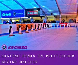 Skating Rinks in Politischer Bezirk Hallein