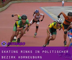 Skating Rinks in Politischer Bezirk Korneuburg