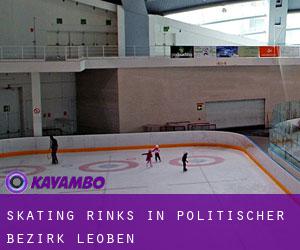 Skating Rinks in Politischer Bezirk Leoben