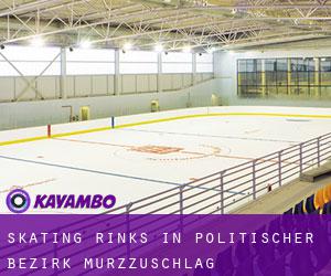 Skating Rinks in Politischer Bezirk Mürzzuschlag