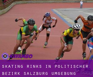 Skating Rinks in Politischer Bezirk Salzburg Umgebung