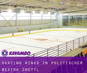 Skating Rinks in Politischer Bezirk Zwettl