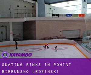 Skating Rinks in Powiat bieruńsko-lędziński