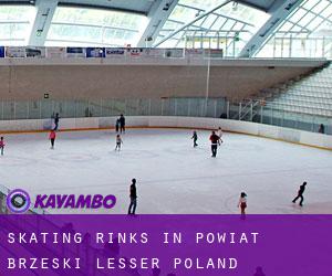 Skating Rinks in Powiat brzeski (Lesser Poland Voivodeship)