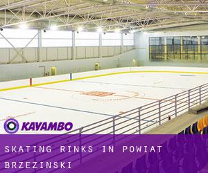 Skating Rinks in Powiat brzeziński