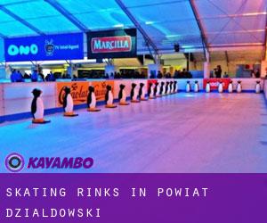 Skating Rinks in Powiat działdowski