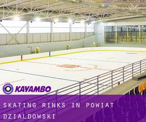 Skating Rinks in Powiat działdowski