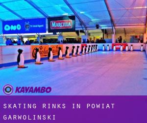 Skating Rinks in Powiat garwoliński Skating Rinks in Powiat garwoliński