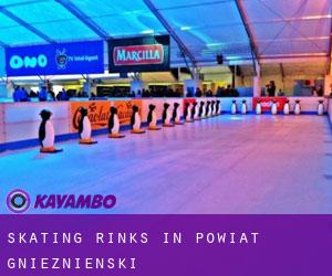 Skating Rinks in Powiat gnieźnieński