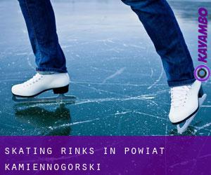 Skating Rinks in Powiat kamiennogórski