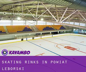 Skating Rinks in Powiat lęborski