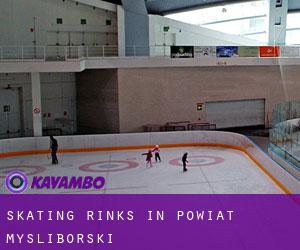 Skating Rinks in Powiat myśliborski