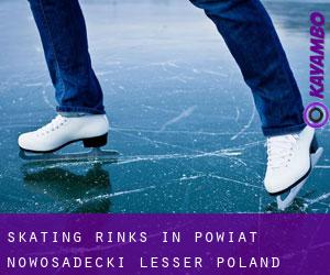 Skating Rinks in Powiat nowosadecki (Lesser Poland Voivodeship)