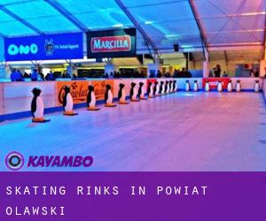 Skating Rinks in Powiat oławski