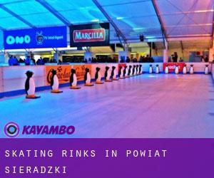 Skating Rinks in Powiat sieradzki