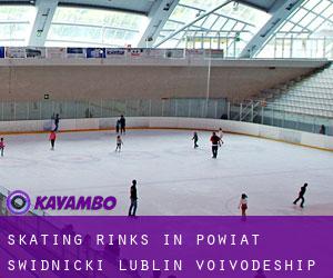 Skating Rinks in Powiat świdnicki (Lublin Voivodeship)