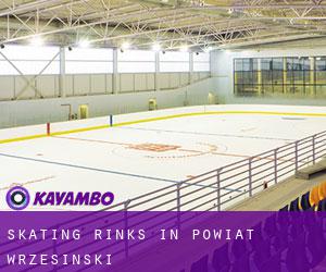 Skating Rinks in Powiat wrzesiński