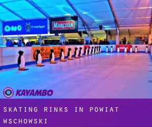 Skating Rinks in Powiat wschowski
