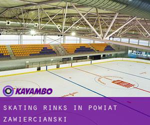 Skating Rinks in Powiat zawierciański