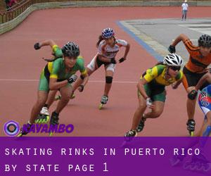 Skating Rinks in Puerto Rico by State - page 1