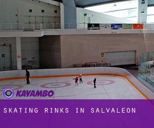 Skating Rinks in Salvaleón