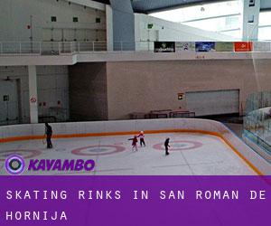 Skating Rinks in San Román de Hornija