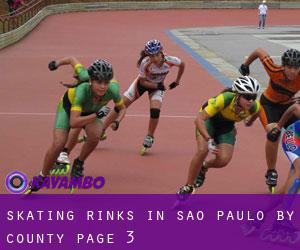Skating Rinks in São Paulo by County - page 3