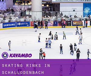 Skating Rinks in Schallodenbach